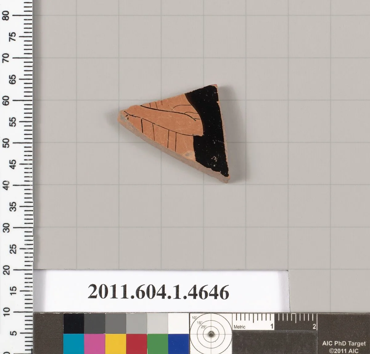 Terracotta fragment of a kylix (drinking cup) — Unknown