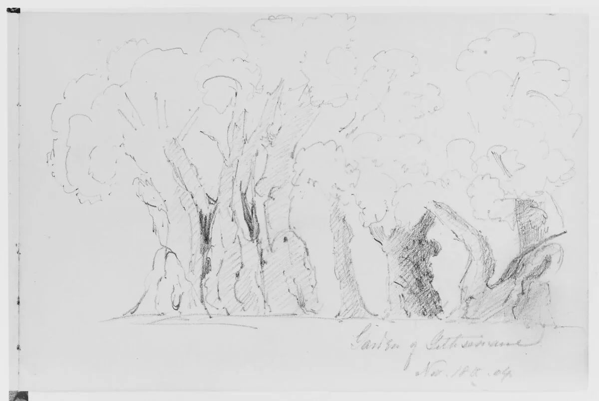 Garden of Gethsemane, 1904 (from Sketchbook) — Mary Newbold Sargent