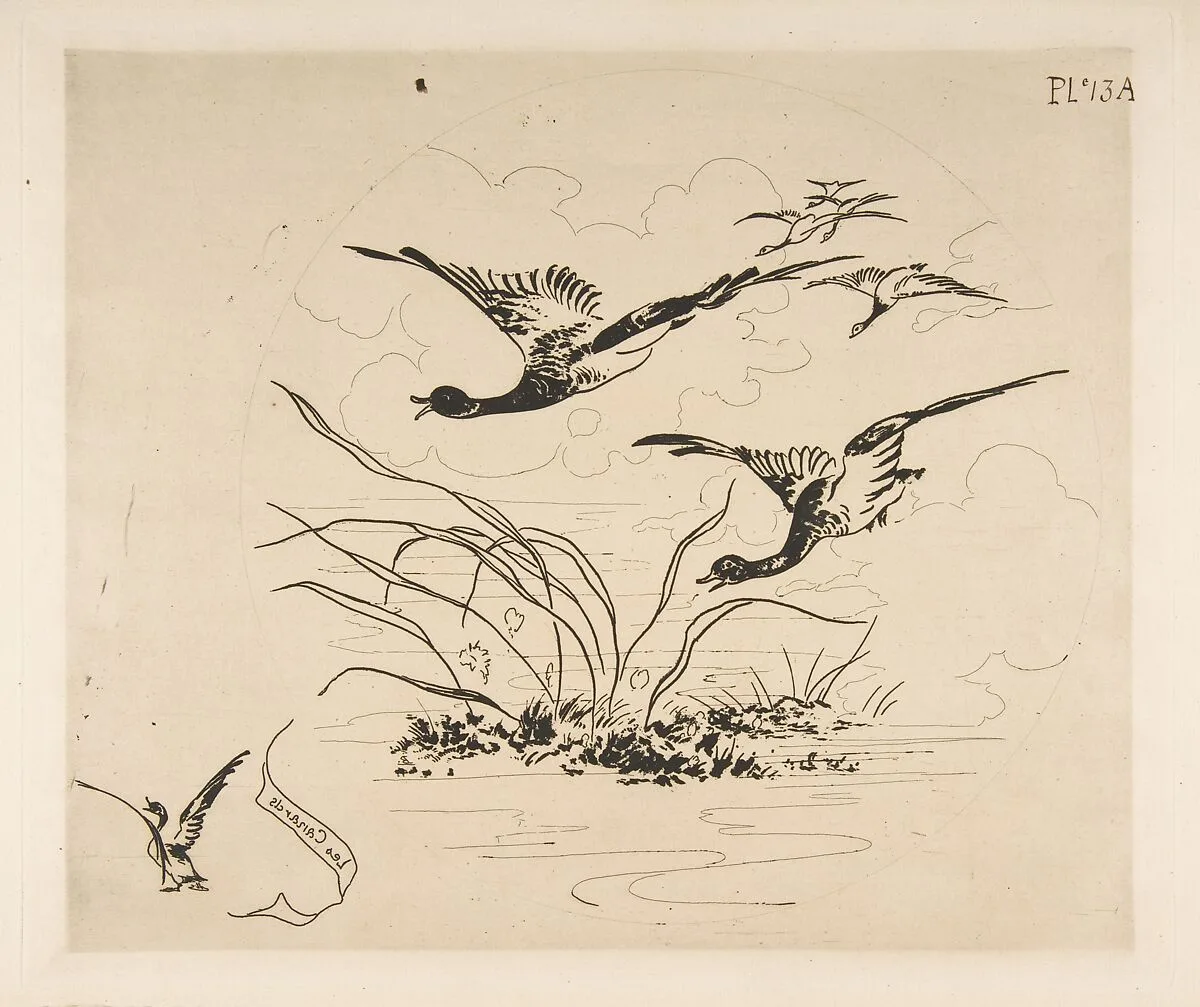 Decoration for a Plate: Ducks — Félix Bracquemond