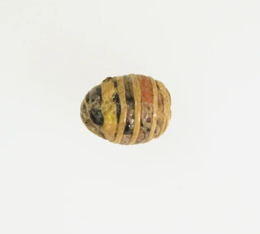 Bead