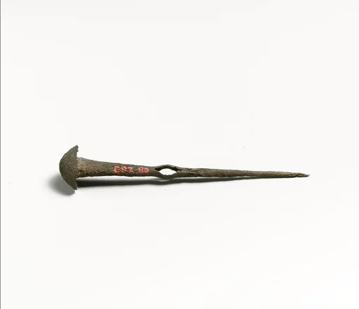 Pin, eyelet type