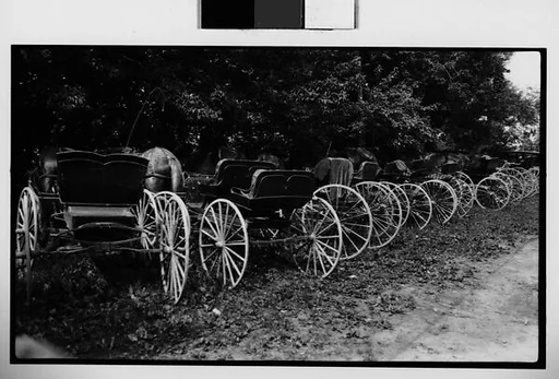 [Row of Horse-Drawn Carriages, Quebec, Canada]