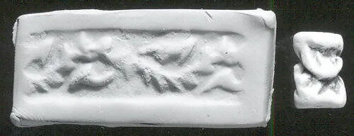 Cylinder seal with geometric design — Unknown