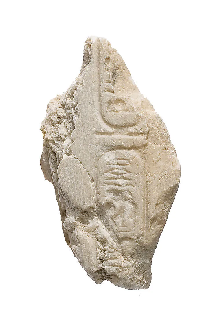 Cobra hood with Aten cartouche — Unknown