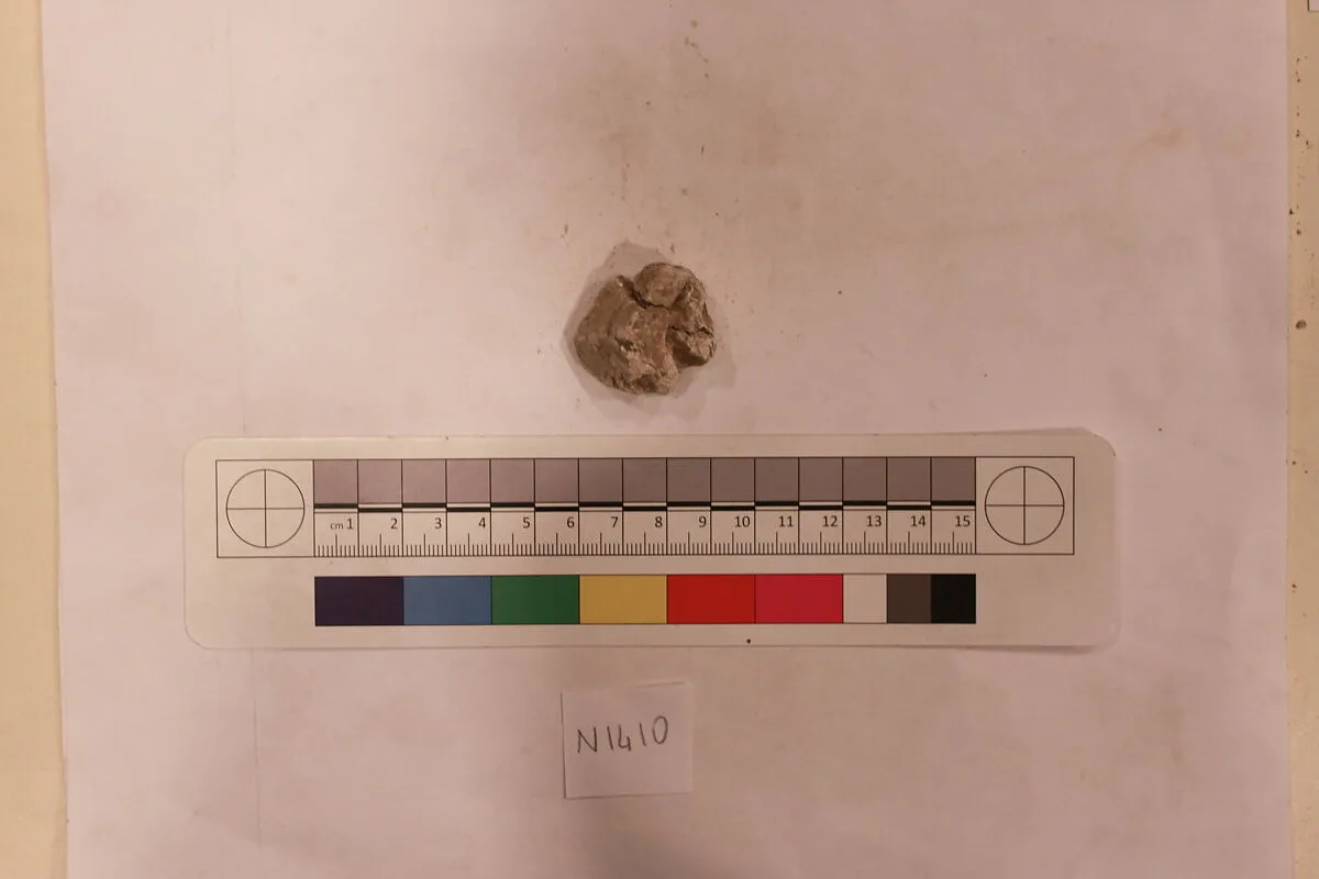 Stucco Fragment — Unknown