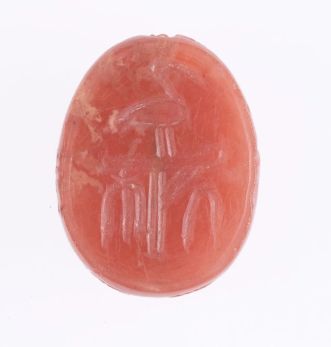 Scarab — Unknown
