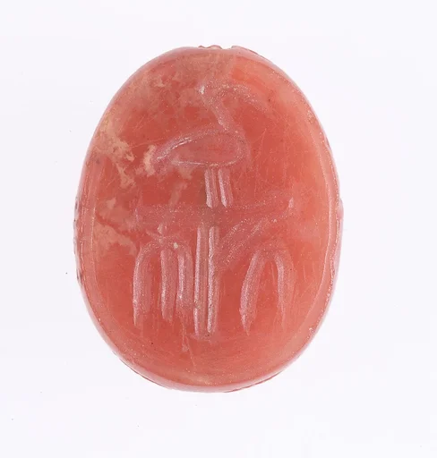 Scarab