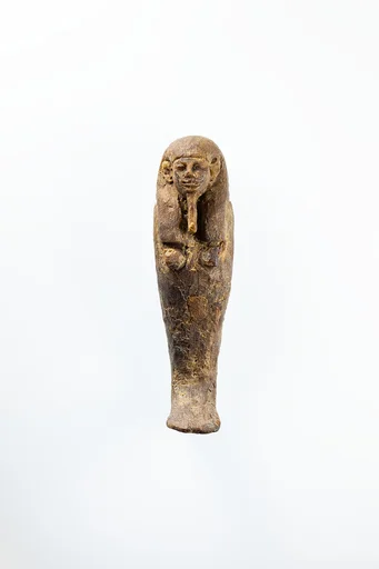 Viscera Figure of Imsety