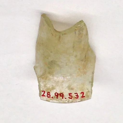 Fragment