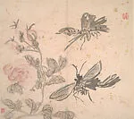 清/現代 黃賓虹 花卉草蟲冊|Insects and Flowers — Huang Binhong