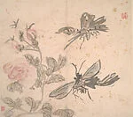 清/現代 黃賓虹 花卉草蟲冊|Insects and Flowers