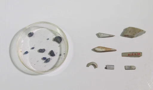 Inlay elements from shrine