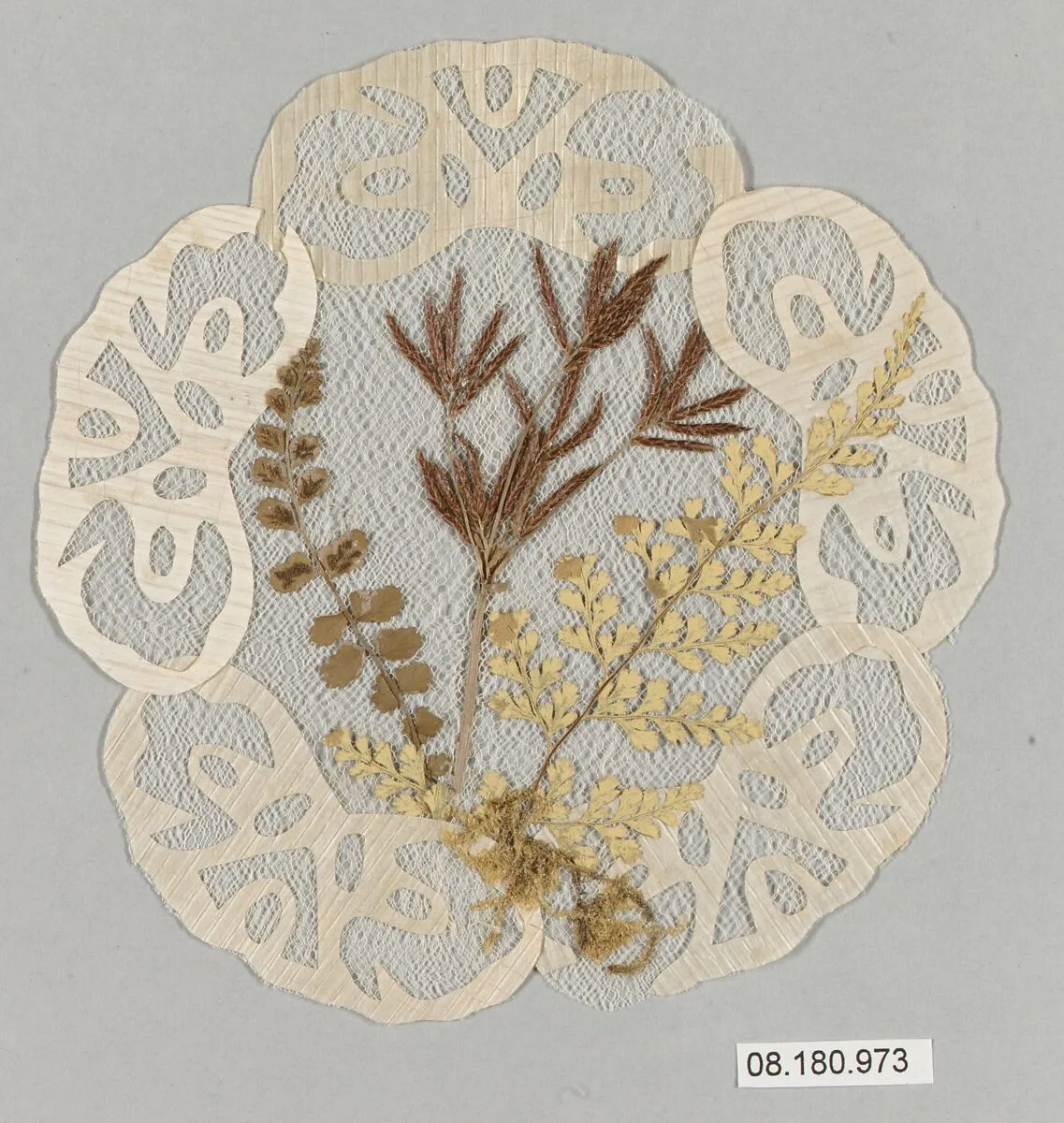Doily — Unknown