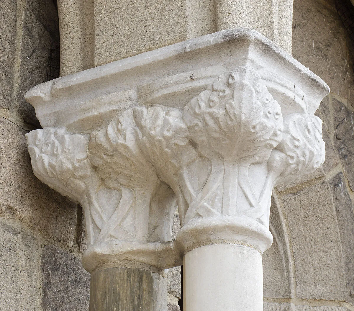Double Capital — Unknown