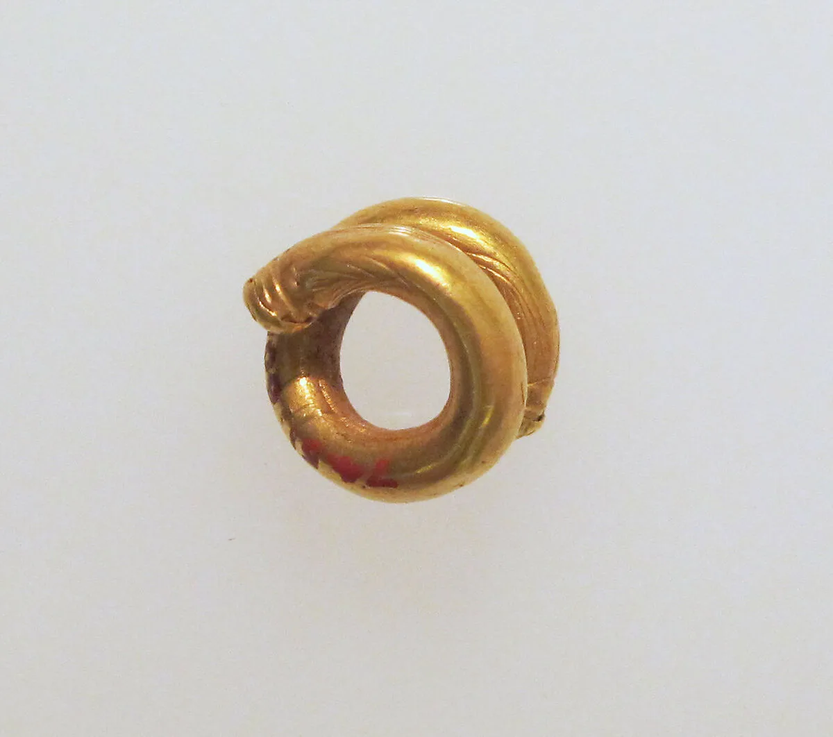 Earring or spiral — Unknown