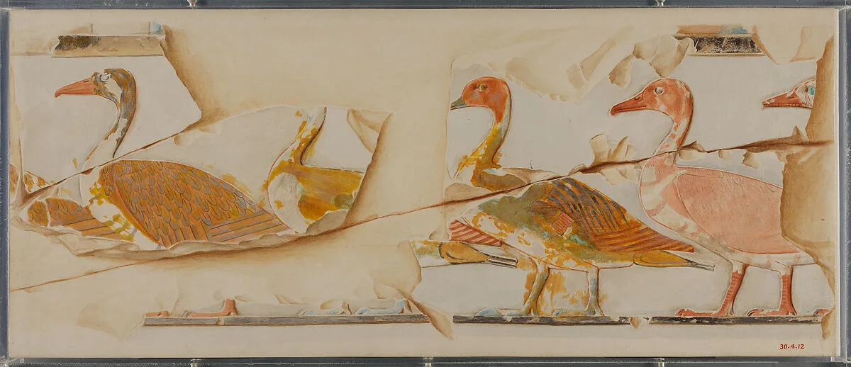 Geese and Ducks — Hugh R. Hopgood