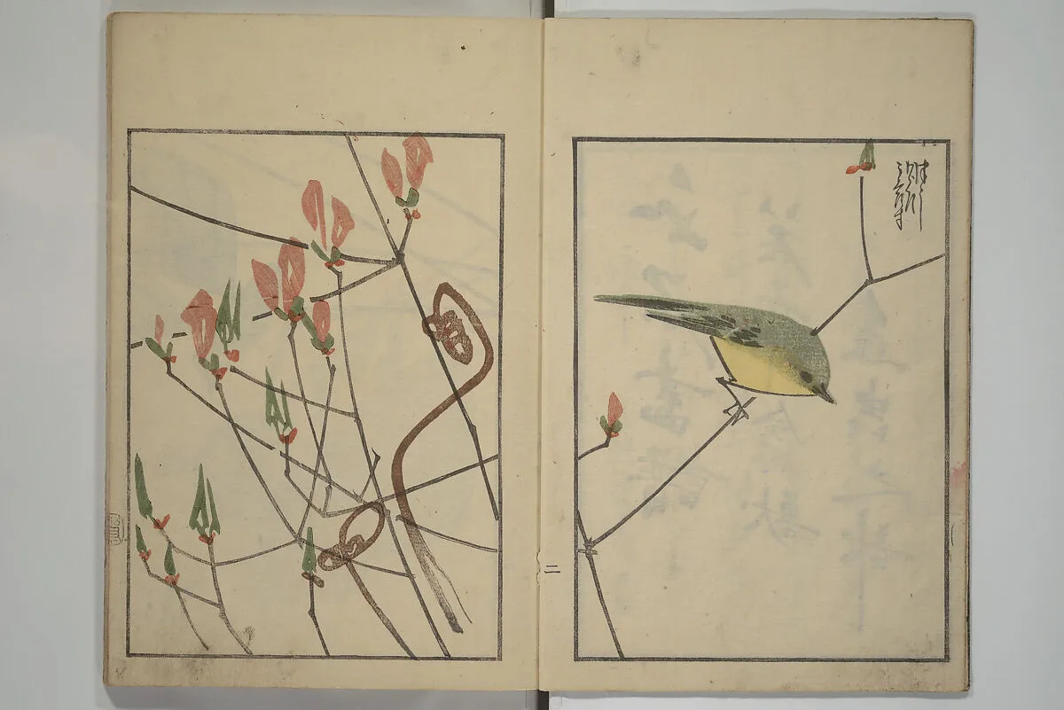 水石画譜 二編|Suiseki Picture Album (Suiseki gafu nihen), Second Series 水石画譜 二編 — Satō Suiseki 佐藤水石