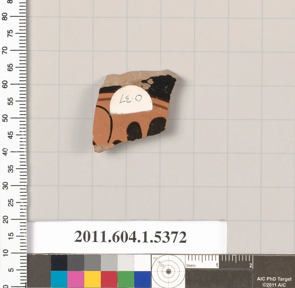 Terracotta fragment of a kylix (drinking cup) — Unknown