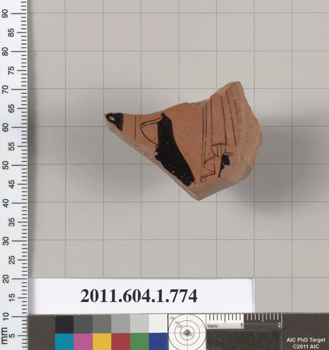Terracotta fragment of a kylix (drinking cup) — Unknown