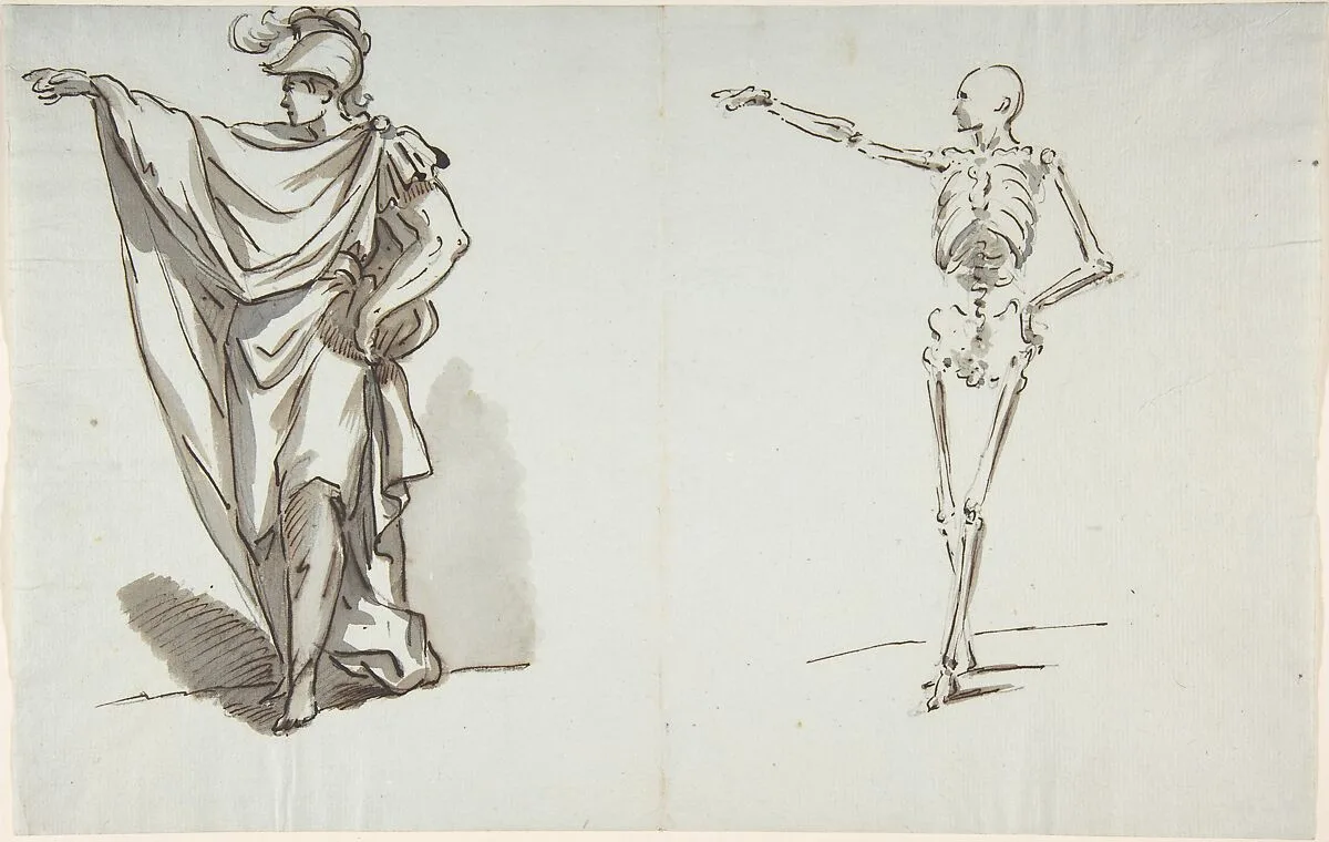 Anatomical drawing — Anonymous, French, 18th century