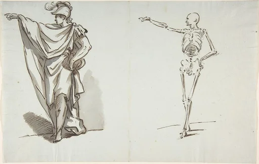 Anatomical drawing