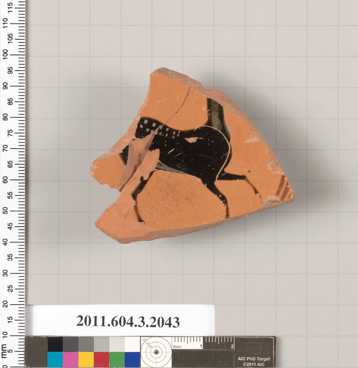 Terracotta fragment of a kylix (drinking cup) — Unknown