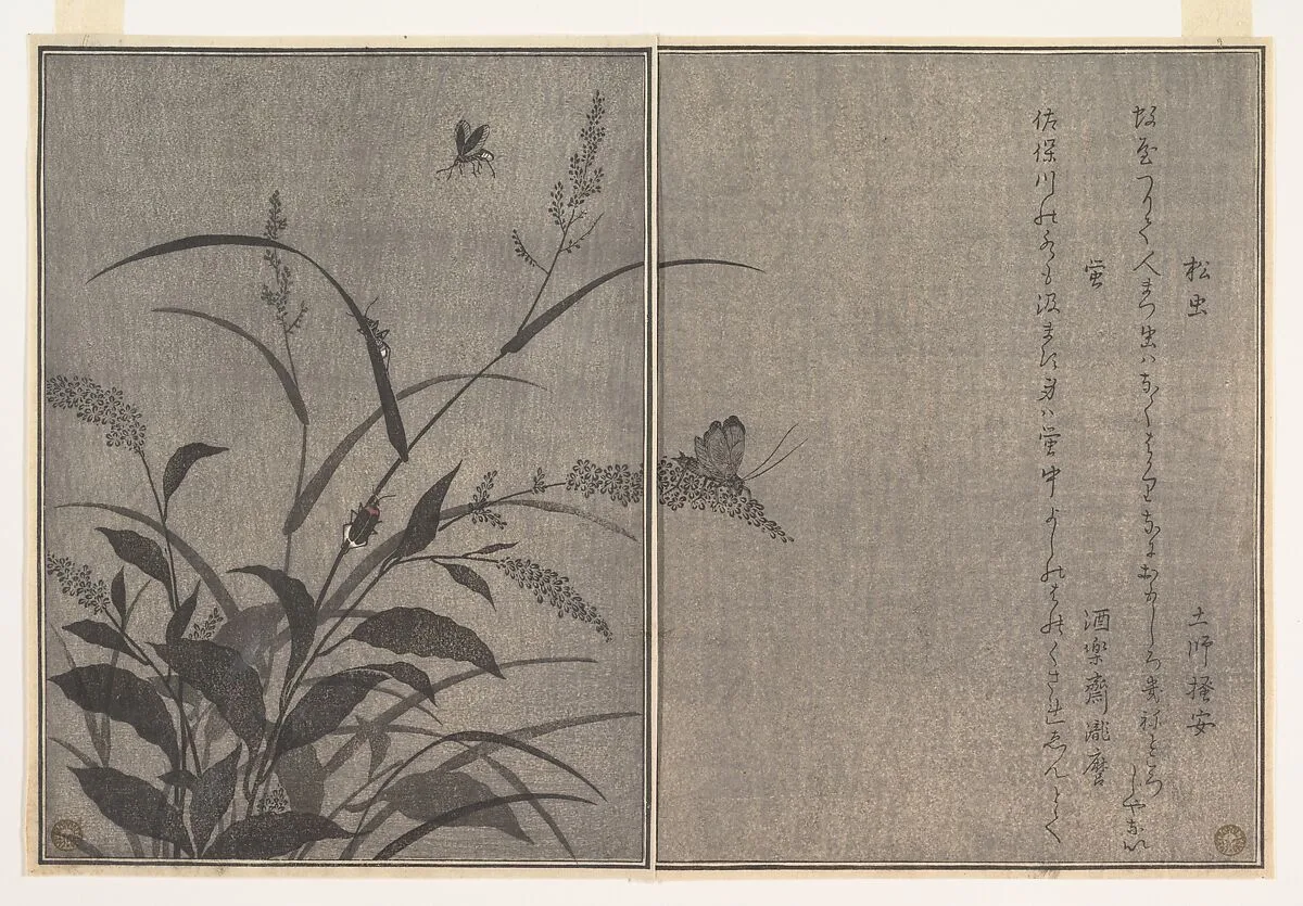 『画本虫撰』 「松虫」「虫蛍」|Tree cricket (Matsumushi); Firefly (Hotaru), from the Picture Book of Crawling Creatures (Ehon mushi erami) — Kitagawa Utamaro