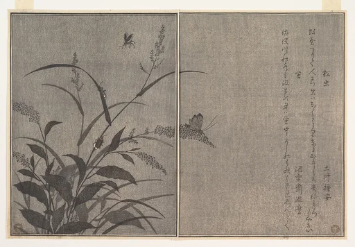 『画本虫撰』 「松虫」「虫蛍」|Tree cricket (Matsumushi); Firefly (Hotaru), from the Picture Book of Crawling Creatures (Ehon mushi erami)