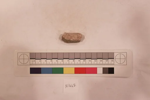 Stucco Fragment