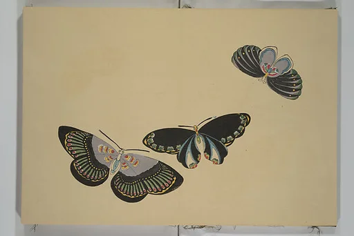 蝶千種|A Thousand Butterflies (Chō senshu) 蝶千種