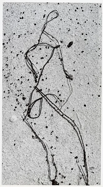 Martha's Vineyard 9 — Aaron Siskind