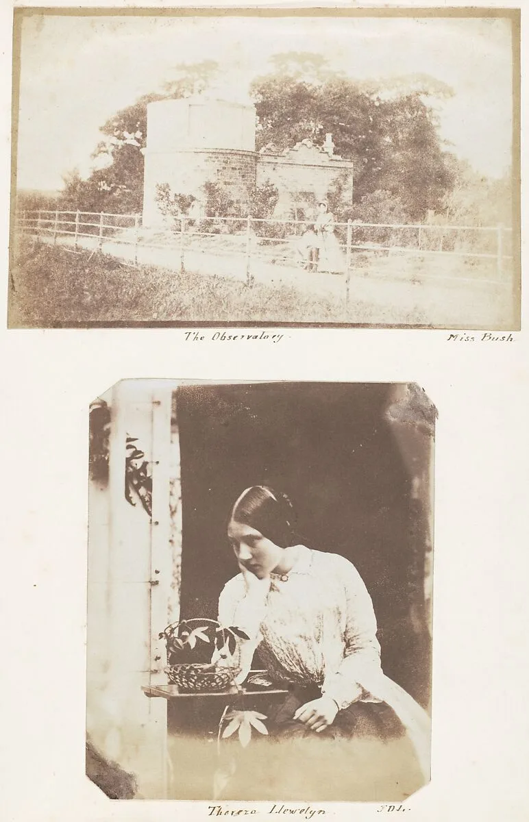 The Observatory; Thereza Llewelyn — John Dillwyn Llewelyn|Miss Bush