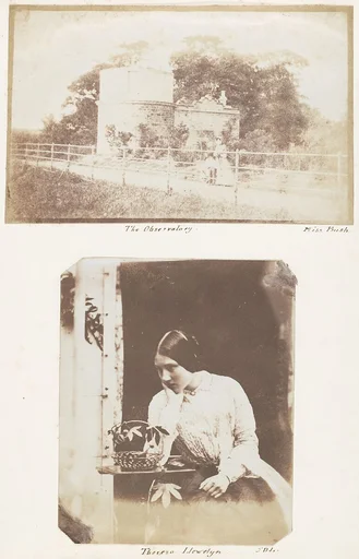 The Observatory; Thereza Llewelyn