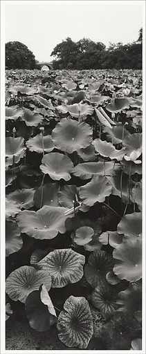 Xi Hu, Hangzhou, Zhejiang, China