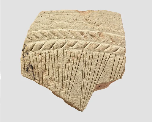 Sherd