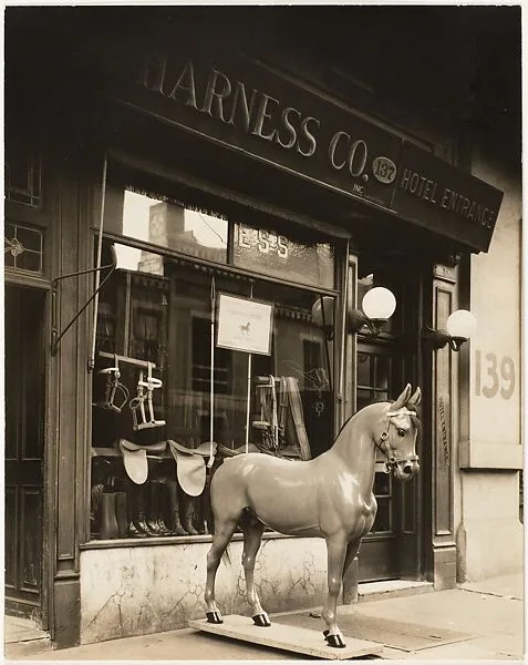 Harness Shop Horse — Berenice Abbott