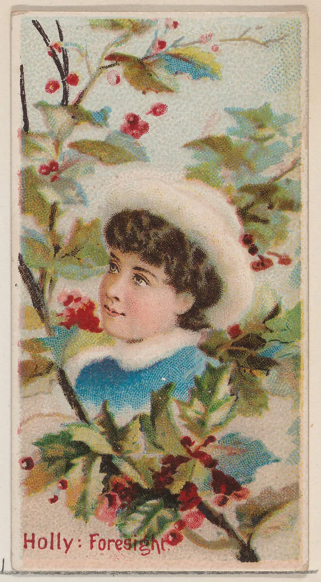 Holly: Foresight, from the series Floral Beauties and Language of Flowers (N75) for Duke brand cigarettes — Donaldson Brothers|American Tobacco Company