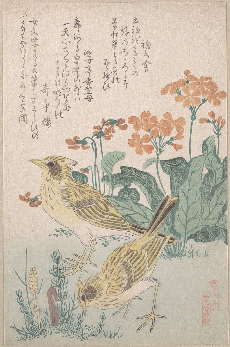 『鳥合』 桜草に雲雀|Skylarks and Primroses,” from the Series An Array of Birds (Tori awase), from Spring Rain Surimono Album (Harusame surimono-jō, vol. 3) — Kubo Shunman