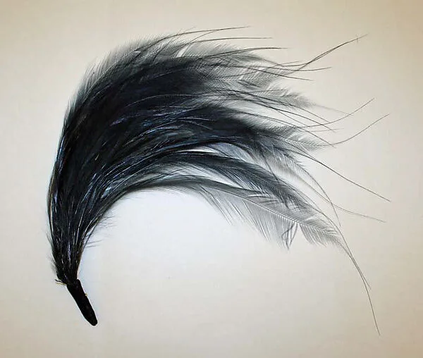 Aigrette — Unknown