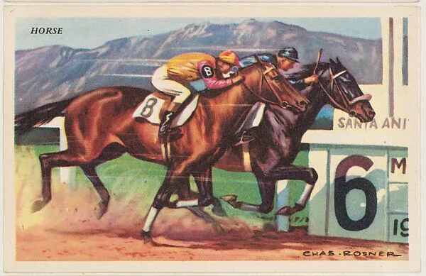 Horse, bakery card from the Speed Pictures series (D39-8), issued by Bell Bakeries, Inc. — Bell Bakeries, Inc.