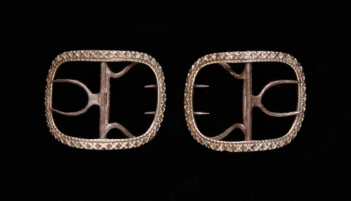 Shoe buckles