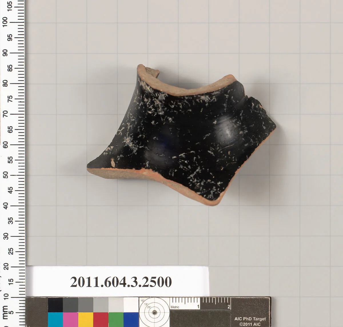 Terracotta fragment of a kylix (drinking cup) — Unknown