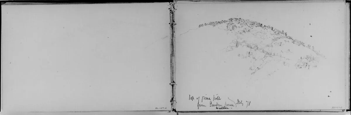 Top of Pine Hill, Walton, 1871 (from Sketchbook) — Daniel Huntington