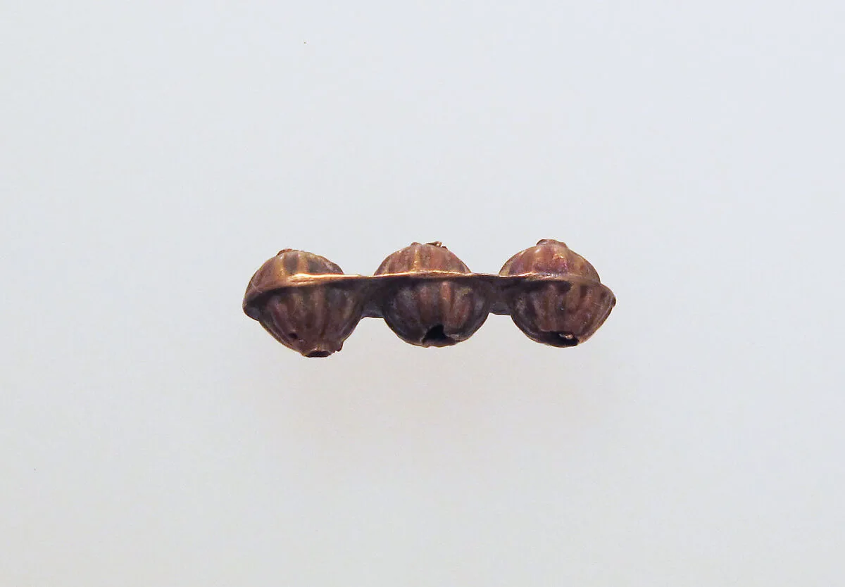Bead, control — Unknown