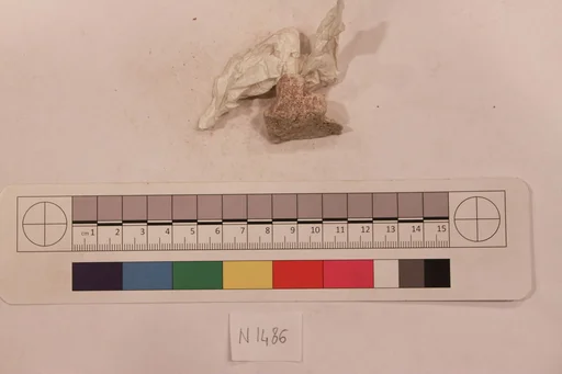 Stucco Fragment