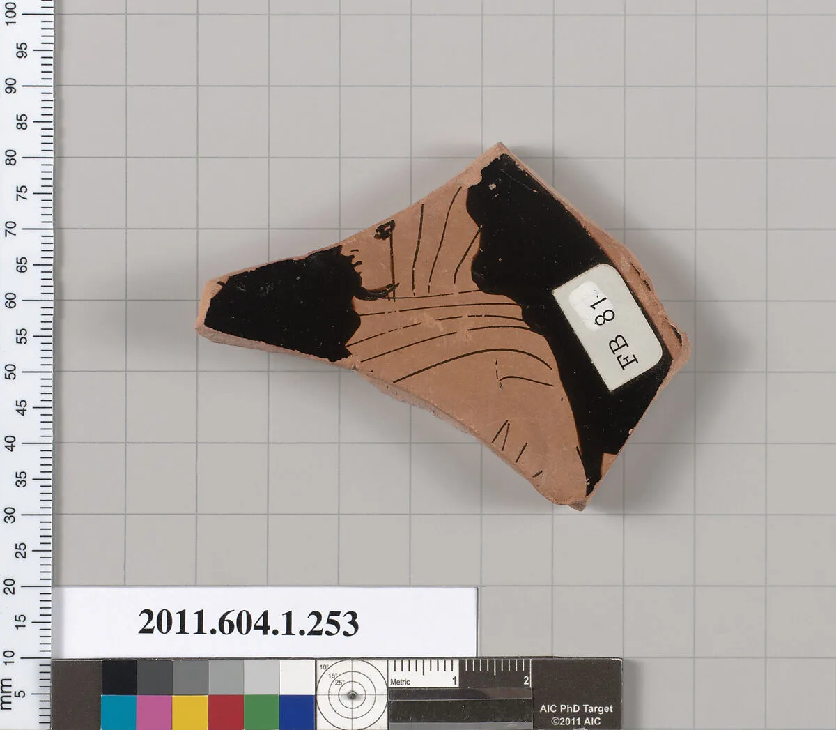 Terracotta fragment of a kylix (drinking cup) — Unknown