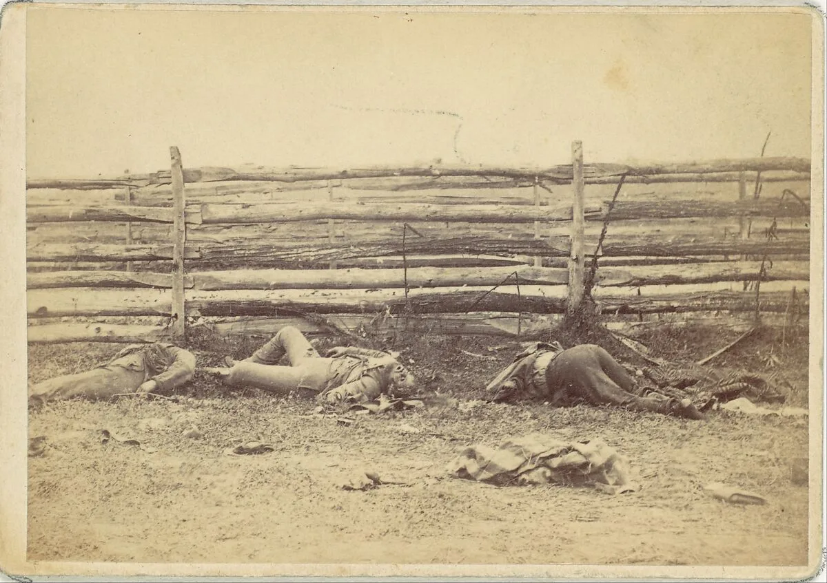 View in the Field, On the West Side of the Hagerstown Road, After the Battle of Antietam, Maryland, September 1862 — Alexander Gardner