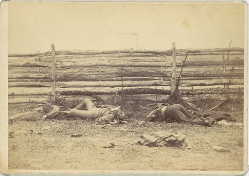 View in the Field, On the West Side of the Hagerstown Road, After the Battle of Antietam, Maryland, September 1862