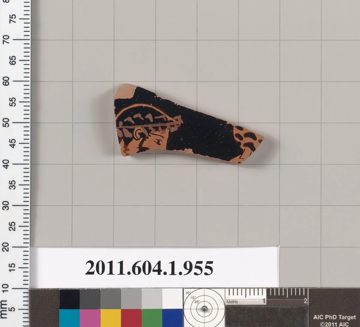 Terracotta fragment of a kylix (drinking cup) — Unknown