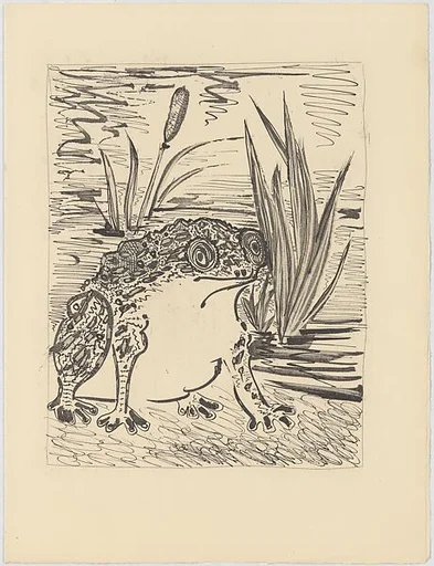 Toad, from ¦Picasso: Original Etchings for the Texts of Buffon¦